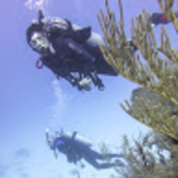 Meet your Posher, Da mama - Picture 1 of 1